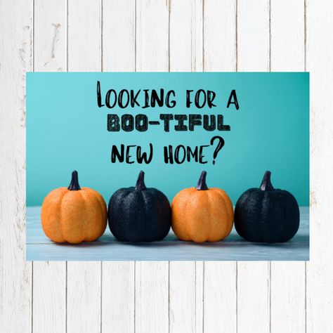 "This fun and stylish Halloween pumpkin card is sure to grab the attention of your farm, neighborhood, clients and friends this fall. It's an ideal postcard for reminding your sphere that you can help them find a BOO-tiful new home! Great for your October real estate pop bys and marketing campaign. This is a 4\"x6\" card, single-sided design as an instant download, that pairs nicely with your Real Estate Agent pop by gifts, event promotional giveaways, or trick or treat items. If you would like Home Real Estate, Open House Real Estate, Real Estate Signs, Carte Halloween, Fall October, Pumpkin Cards, Promotional Giveaways, Real Estate Houses, Print Store