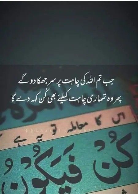 Love Urdu Quotes, Inspirational Quotes In Urdu, Urdu Funny Quotes, 1 Line Quotes, Alhumdulillah Quotes, Aesthetics Quote, Bff Quotes Funny, Best Quran Quotes, Cute Attitude Quotes