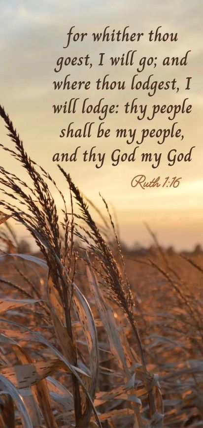 A wheat field background with bible verse Ruth 1:16 written on it Ruth Bible Verse, Scripture Verses Kjv, Bible Verse Phone Wallpaper, Verse Phone Wallpaper, Bible Quotes Kjv, Ruth Bible, Bible Verses Phone Wallpaper, Bible People, Book Of Ruth