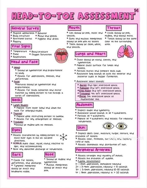 Nurse Cheat Sheets Printable, Upper Gi Disorders Nursing Students, Med Tech Notes, Nursing Study Guide Template, Health Assessment Nursing Notes, Nursing School Checklist, Nurse Notes Aesthetic, Nurse Study Notes Medical Students, Simple Nursing Study Guides Fundamentals