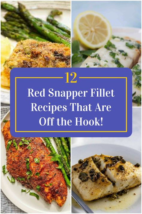 Collage of 4 red snapper fillet recipes. Healthy Red Snapper Recipes, Fresh Red Snapper Recipes, Snapper Dinner Ideas, Frozen Snapper Recipes, Grilled Red Snapper Filet Recipes, Baked Snapper Fillet, Red Snapper Fillet Recipes, Red Snapper Recipes Grilled, Snapper Fillet Recipe