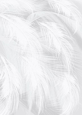 White Feather Background, White Hd Wallpaper, Feathers Background, Peacock Feather Wedding, Fur Background, Wedding Background Wallpaper, Feather Background, Mosaic Furniture, Dance Background