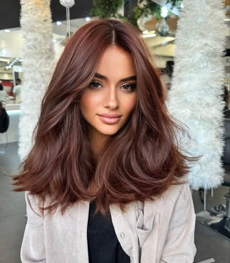 Dark Fall Hair Colors, Dark Fall Hair, Chestnut Hair, Chestnut Hair Color, Brown Hair Looks, Brown Hair Inspo, Ginger Hair Color, Red Brown Hair, Hair Color Auburn