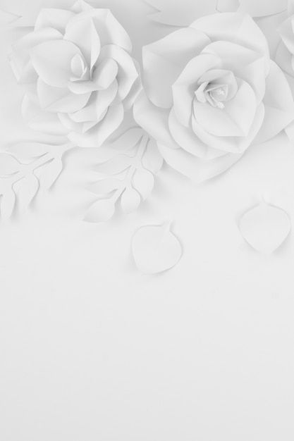 Message Background, Flowery Background, Pastel Texture, Iphone Wallpaper Lights, Background Pics, Beauty Background, Background Images Free Download, Rose Background, Free Backgrounds