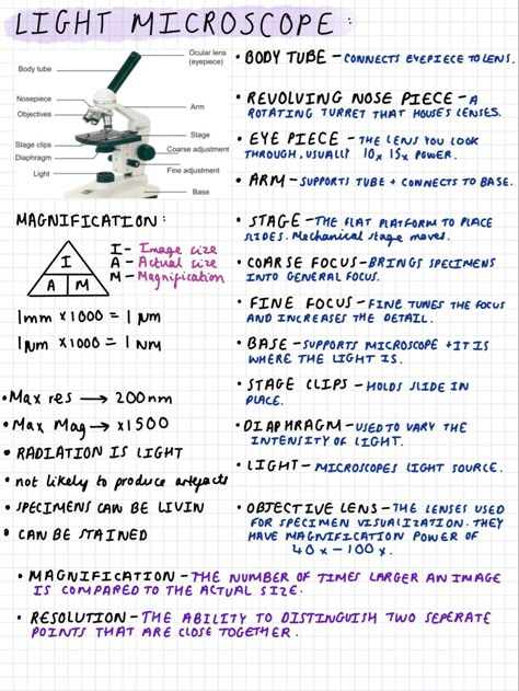 Revision notes for biology A level year one! I have lots more notes on here! Go check them out:) Revision Notes Biology Alevel, Biology 2 Notes, Microscope Notes Biology, Alevel Bio Notes, A Level Biology Cell Structure Notes, Biology Revision Gcse Cells, As Level Biology Notes, Microbiology Study Note, Btec Applied Science Level 3