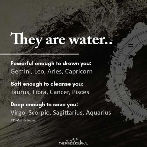 They Are Water https://themindsjournal.com/they-are-water/ Water Personality, Aries Pisces Cusp, Water Zodiac Signs, Water Signs Zodiac, What Is Astrology, Capricorn Star Sign, Leo Aries, Horoscope Dates, Leo Zodiac Facts