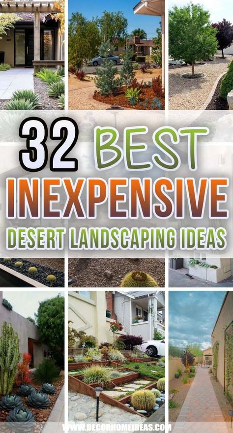 32 Inexpensive Desert Landscaping Ideas For a Perfect Drought-Tolerant Garden | Decor Home Ideas Small Front Yard Landscaping Ideas Arizona, Best Plants For Desert Landscaping, Xeriscape Front Yard New Mexico, Desert Entryway Landscaping, Succulents Garden Landscape Front Yards, Small Desert Patio Ideas, Stone Front Yard Landscaping, Southwestern Garden Ideas, Desert Hardscape Ideas