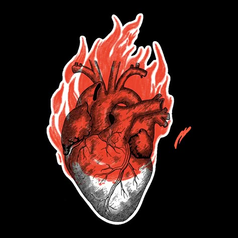 Heart On Fire Wallpaper, Heart On Fire Illustration, Heart On Fire Painting, Heart On Fire Aesthetic, Heart On Fire Drawing, Burning Heart Drawing, Heart On Fire Tattoo, Heart With Flames, Anatomical Heart Drawing