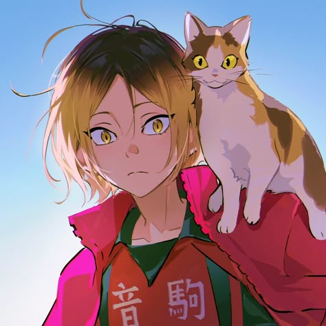 Kenma haikyuu fanart icon cr/jiuniaoshan Kenma Haikyuu, Haikyuu Kenma, Haikyuu Nekoma, Snk Cosplay, Miss Fortune, Kenma Kozume, Haikyuu Manga, Haikyuu Characters, Haikyuu Fanart