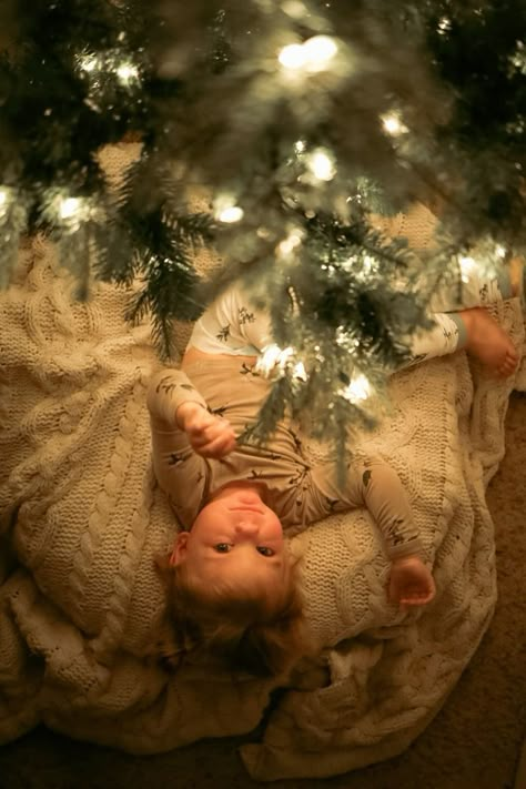 Christmas Tree Siblings Christmas Pictures, Toddler Christmas Photo Ideas, Christmas Tree Ideas Color Schemes, Christmas Photos Diy, Toddler Christmas Photoshoot, Sibling Christmas Pictures, Toddler Christmas Photos, Window Nooks, Themed Christmas Tree Ideas