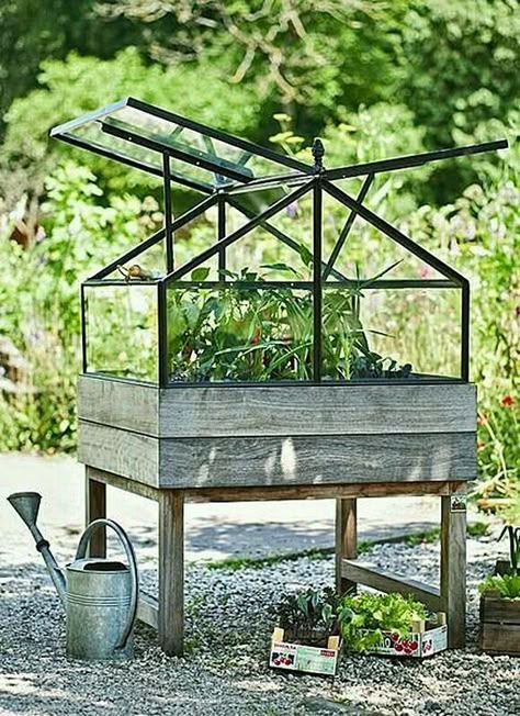 small greenhouse Elevated Garden, Elevated Planter Box, Small Greenhouse, Mini Greenhouse, Diy Greenhouse, Garden Greenhouse, Have Inspiration, Greenhouse Gardening, Garden Structures