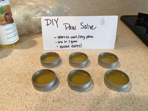 Diy Pet Care Products, Doterra Dogs, Dog Paw Salve, Puppy Advice, Homemade Balm, Dog Balm, Dog Paw Balm, Dog Paw Pads, Paw Wax