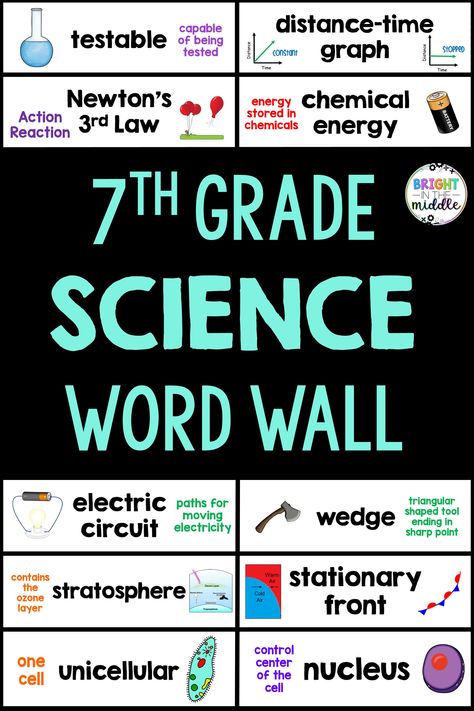 Middle School Science Classroom Setup, Middle School Science Fair Projects, Online Flashcards, Scientific Inquiry, Science Lessons Middle School, Science Word Wall, Forces And Motion, Study Sheets, Reference Study