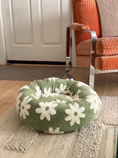 Amazon.com : Lesure Donut Small Dog Bed - Round Cat Beds for Indoor Cats Calming Pet Beds, Cute Modern Beds with Jacquard Shaggy Plush & Anti Slip Bottom, 23 Inch, Green : Pet Supplies Mushroom Dog Bed, Beds For Cats, Dog Bed Cute, Beds For Dogs, Small Dog Beds, Kitten Bed, Cats Room, Cute Pet Bed, Aesthetic Cat Supplies