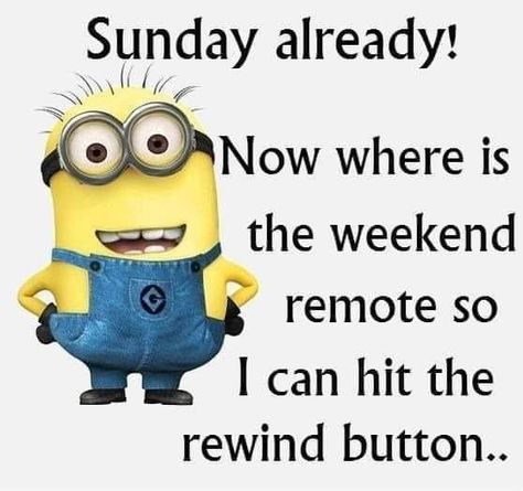 Sunday Morning Quotes, Sunday Quotes, Minion Quotes, Funny Minion Quotes, Like Quotes, Minions Quotes, Minions Funny, Good Morning Greetings, Despicable Me