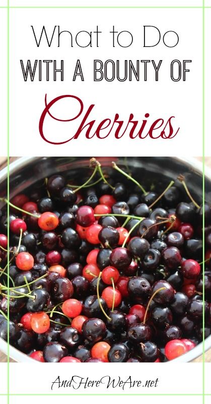 What to Do with Cherries (So many ideas, even using the pits!) What To Do With Cherries, Preserving Cherries, Fresh Cherry Recipes, Cherry Recipes, Cherry Fruit, Self Sufficiency, Fresh Cherries, Canning And Preserving, Seasonal Recipes