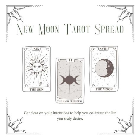 A new moon tarot spread is a wonderful way to gain insight on your aligned intentions. Using your tarot deck, you can start each moon cycle with a clear vision of what you want to create and how to make it happen. #tarot #newmoon #witchcraft New Moon Tarot Spread, New Moon Tarot, Kitchen Magick, New Moon Ritual, Moon Ritual, New Moon Rituals, Yes Or No Questions, Moon Cycle, Tarot Spread