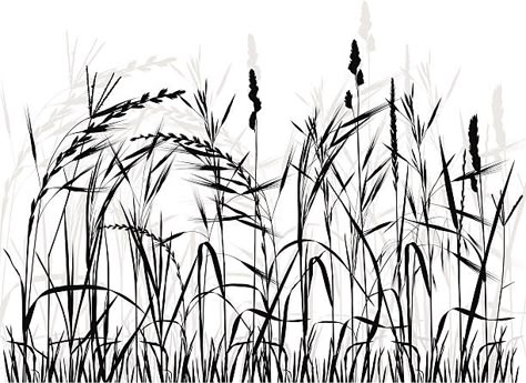 Meadow Silhouette, Herbs Image, Grass Silhouette, Grass Drawing, Prairie Flower, Grass Flower, Sleeve Ideas, Tangle Patterns, Rv Camping