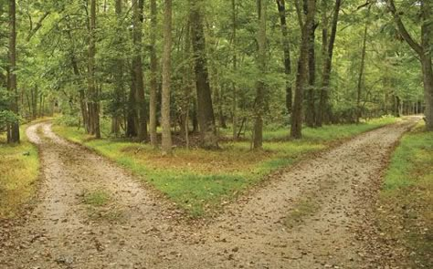 Fork In The Road, The Road Not Taken, Dirt Roads, Real Estate License, Country Roads Take Me Home, The Road Less Traveled, Robert Frost, Road Less Traveled, Dirt Road