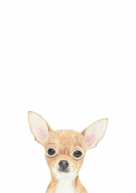 Chihuahua Illustration, Chihuahua Art, Chihuahua Love, Chihuahua Dog, Big Eyes, Dog Art, Iphone Wallpapers, Ideas De Fondos De Pantalla, Chihuahua