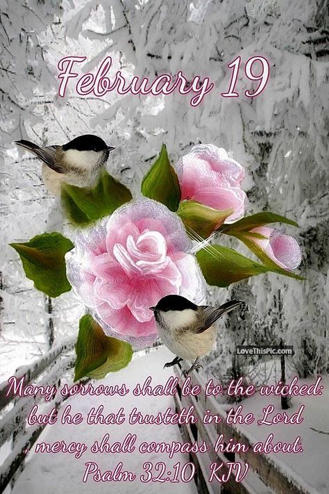 February 19 Pictures, Photos, and Images for Facebook, Tumblr, Pinterest, and Twitter Hello February Quotes, February Images, Happy Valentines Day Pictures, January Quotes, February Quotes, Bear Quote, Birthday Wishes Flowers, Valentines Day Pictures, Morning Quotes Funny