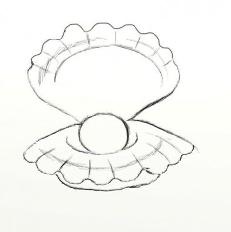 Learn how to draw an opened clam with a pearl in the center. Pearled clams are beautiful and this is a must see tutorial if you want to learn how to draw something fun and visually appealing. Clam Shell Drawing, Shell Drawing Simple, Clam Drawing, Seashell Drawing, Clam Pearl, Shell Drawing, Sea Drawing, Pearl Paint, Drawing Simple