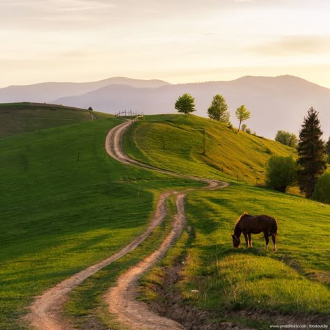 Carpathian mountings , W Ukraine, from Iryna Pretty Landscapes, Dirt Road, Alam Yang Indah, English Countryside, Nature Aesthetic, Pretty Places, الرسومات اللطيفة, A Horse, Country Life