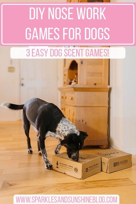 Dog Boredom Busters Diy, Dog Games Diy, Dogs Nose, Dog Boredom Buster, Games For Dogs, Canine Enrichment, Dog Boredom, Puppy Puzzle, Work Games