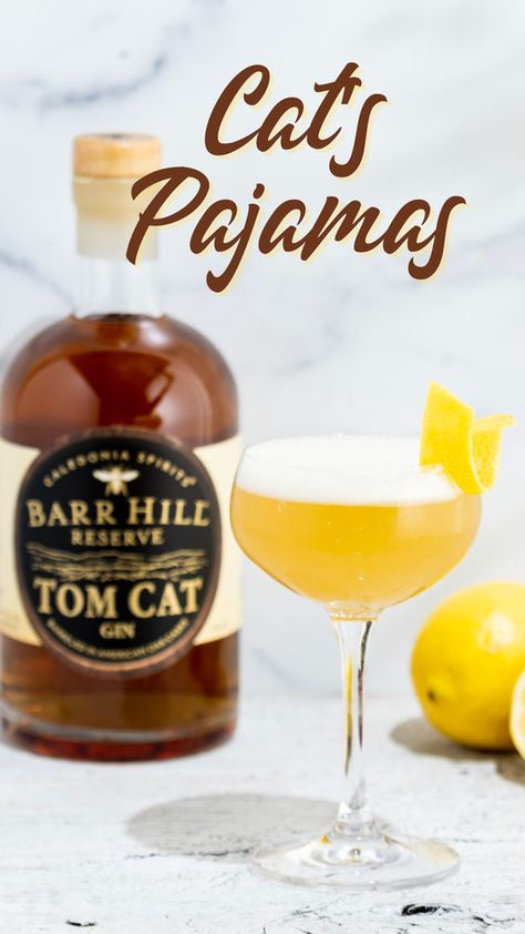 A Whiskey Sour meets a Bee's Knees cocktail in our take - the Cat's Pajamas. Bold, barrel aged Tom Cat Gin blends with raw honey and fresh lemon for a bright, refreshing take on two classic cocktails. Bees Knees Cocktail, Tom Cat, Bee's Knees, Honey Syrup, Whiskey Sour, Cat Pajamas, Alcoholic Beverages, Holiday Cocktails, Bees Knees