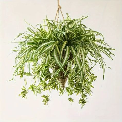 3pcs 24 Large Artificial Hanging Plants Spider Plants For Home Indoor Decor Greenery For Home Garden Office Wedding Decoration | Don't Miss These Great Deals | Temu Outdoor Fish Tank, Tub Room, Hanging Orchid, Cheap Artificial Plants, Decorative Pebbles, Artificial Hanging Plants, Stained Glass Window Film, Plant Indoor, Spider Plant