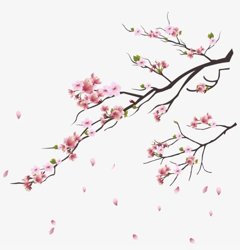 Cherry Blossom Vector, Cherry Blossom Painting, Frame Floral, Cherry Blossom Branch, Cherry Blossom Tattoo, Blossom Tattoo, Sakura Tree, Cherry Blossom Art, Cherry Blossom Flowers