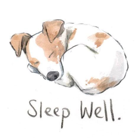 Cute Animal Sleeping Drawing, Sleep Dog Illustration, Sleeping Dog Painting, Sleep Art Cute, Sleeping Animal Drawing, Sleep Illustration Art, Dog Sleeping Illustration, Dog Sleeping Drawing, Dog Cute Drawing