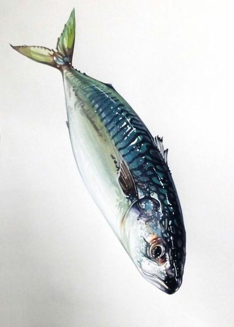 Creative Color Palette, Fish Watercolor Painting, Herring Fish, Fish Paintings, Fish Watercolor, Realistic Watercolor, Food Sketch, Watercolor Food, Watercolor Fish