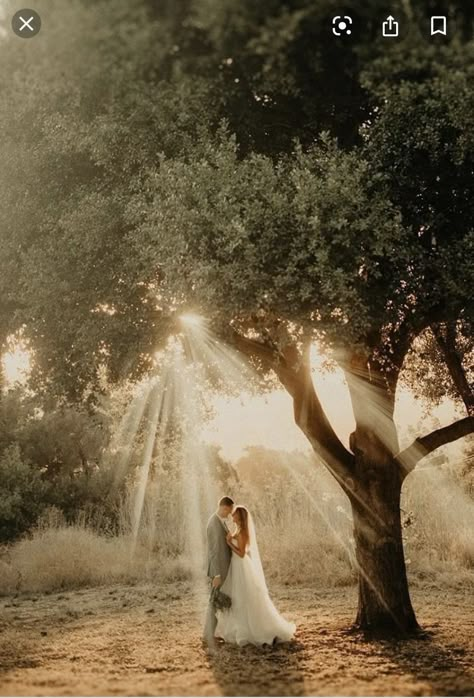 Photography Ideas For Weddings, Wedding Landscape Photography Photo Ideas, Wedding Foto Ideas Creative, Outside Wedding Picture Ideas, Rustic Wedding Portraits, Outdoor Wedding Pictures Ideas, Woods Elopement Photo Ideas, Wedding Pictures In A Field, Fairytale Wedding Pictures