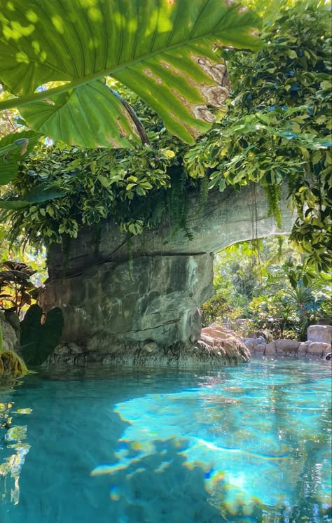 Trees, Pool, Water, Blue