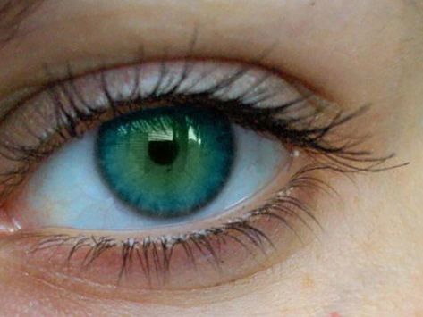 20 people with the most strikingly beautiful eyes. – Page 17 of 20 – InspireMore Natural Eye Cream, Diy Eye Cream, Rare Eyes, Beautiful Eyes Color, How To Grow Eyebrows, Blue Green Eyes, Best Eye Cream, Most Beautiful Eyes, Aesthetic Eyes