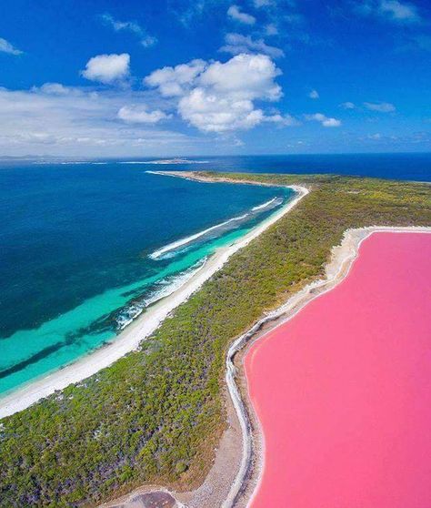 Lake Hillier Australia, Pink Lake Western Australia, Great Barrier Reef Australia, Western Australia Travel, Australian Road Trip, Australia Vacation, Pink Lake, Australian Travel, Australia Map