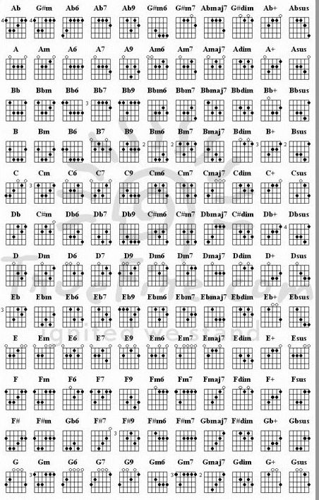 Basic Guitar Chords Chart, Electric Guitar Chords, All Guitar Chords, Guitar Tabs Acoustic, Aesthetic Guitar, Easy Guitar Chords, Acoustic Guitar Chords, Guitar Songs For Beginners, Learn Guitar Chords