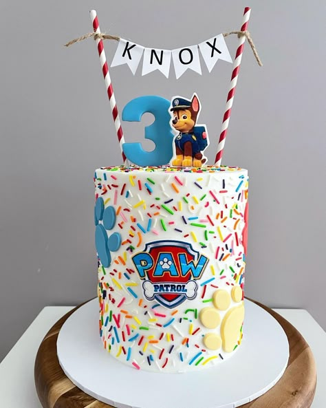 Paw Patrol Birthday Party Themes, Paw Patrol Ryder Cake, Paw Patrol Jello Ideas, Paw Patrol Cake Buttercream Frosting, Paw Patrol Dino Rescue Cake, How To Make A Paw Patrol Cake, Paw Patrol Party Cake Ideas, Paw Patrol Birthday Cakes Boys, Paw Patrol Kids Party