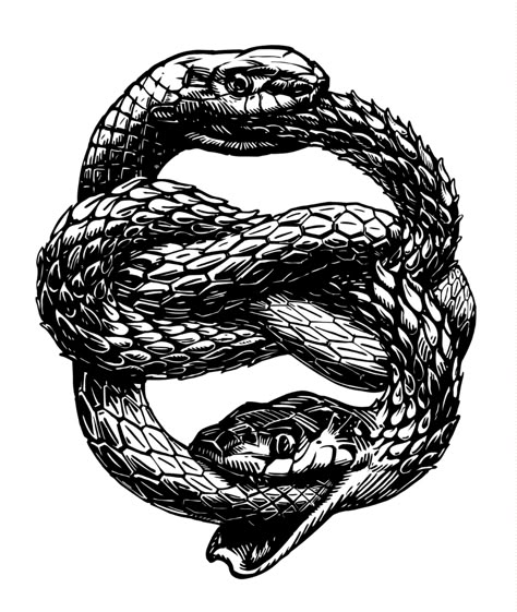 Snake Eating Itself Tattoo Meaning, Snake Eating Itself Tattoo, Ouroboros Meaning, Snake Eating Itself, Snake Biting, Tail Tattoo, Snake Eating, Infinity Symbol Tattoo, Ouroboros Tattoo