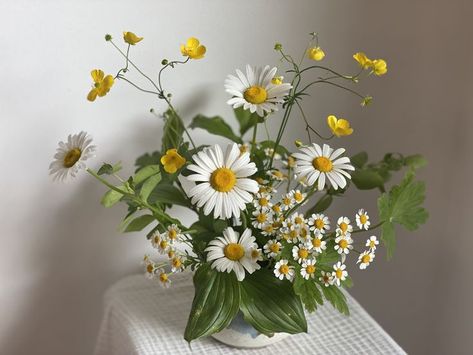 White Daisy Arrangements, Feverfew Flower Arrangement, Camomile Flower Arrangement, Flower Arrangements With Chamomile, Chamomile Flower Arrangement, Chamomile Arrangement, Daisy Floral Arrangements, Daisy Arrangements, June Wedding Ideas