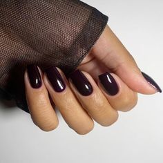 Black Cherry Nails Are Going To Dominate In Fall 2024 Burgundy Nails With Black Design, Fall Nails 2024 Black, Nails For Black Dress Classy, Black Cherry Nails Design, Black Cherry Nails Acrylic, Black Cherry Nail Color, Black Dip Nails, Cherry Cola Nails, Black Cherry Nail Polish