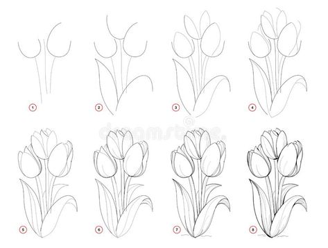 Hur Man Ritar Blommor, Tulip Drawing, Easy Flower Drawings, Flower Step By Step, How To Draw Steps, Flower Drawing Tutorials, 강아지 그림, Flower Art Drawing, Illustration Botanique