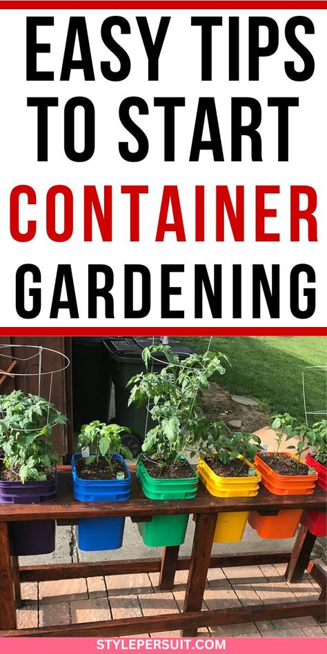 Container gardening is a versatile and accessible way to bring the joys of gardening into any space, regardless of size or location. Whether you have a sprawling backyard, a cozy balcony, or even just a sunny windowsill, container gardening allows you to cultivate beautiful plants, herbs, and vegetables with minimal fuss. In this beginner’s guide, click to discover everything you need to know to get started on your container gardening journey. Gardening In Pots For Beginners, Container Garden Set Up, Edible Container Gardening, Patio Garden Ideas Apartment, Container Garden Layout, Outdoor Container Gardening Ideas, Farming 101, Planting Food, Apartment Vegetable Garden