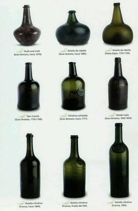 Wine bottles, shapes and sizes over time. Ceramic Wine Bottle, Wine Infographic, Wine History, Grape Growing, Wine Facts, Barolo Wine, Different Types Of Wine, Wine 101, Wine Knowledge