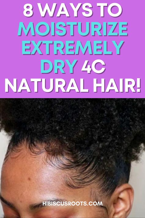 Moisturizing Dry Hair, How To Lock In Moisture In Natural Hair, Products To Moisturize Natural Hair, Moisture For Natural Hair, Leave In Moisturizer For Natural Hair, How To Moisture Dry Natural Hair, Hydrate 4c Natural Hair, 4c Moisturizer Natural Hair, Best Moisturizer For Dry 4c Hair