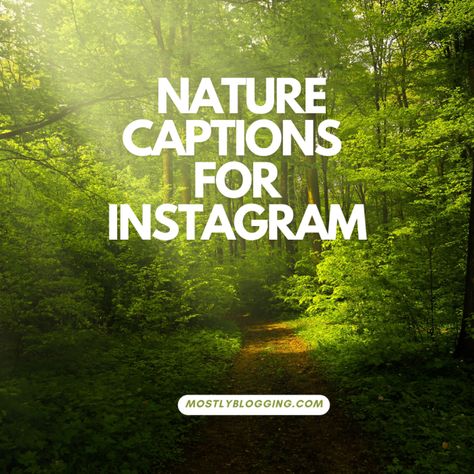 Best Nature Captions For Instagram, Caption For Instagram Nature Post, Nature Post Captions, Captions For Instagram Nature Pics, Nature Qoute Instagram, Lost Captions For Instagram, Nature Captions Instagram Beautiful, Captions For Nature Pictures, Videos Caption