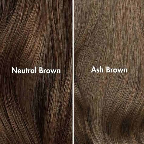 Level 5 Hair Color, Brown Hair Levels, Light Chocolate Brown Hair, Brown Extensions, Global Hair Color, Brown Hair Color Chart, Hair Levels, Hair Color Guide, Ash Brown Hair Color