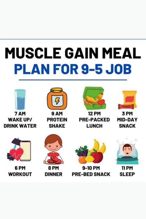 full plan for your daily routine if you are a jober. it help you manage your morning to night health plan.   #dailyroutineplan, #pinterest Muscle Gain Meal Plan, 9 5 Job, Healthy Fit, Fitness Blogger, Health Plan, Healthy Fitness, Fit Body, Fitness Coach, Gain Muscle