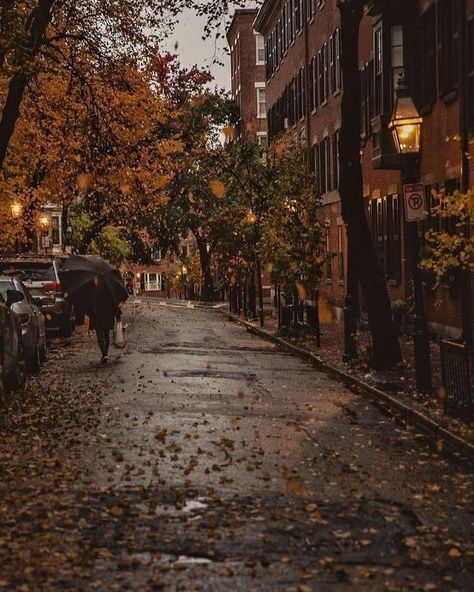 ☕️ on Twitter: "fall weather 🍂☔️… " Dark Academia Aesthetic, Academia Aesthetic, Best Seasons, Fall Pictures, We Fall In Love, Autumn Cozy, Lombok, Autumn Aesthetic, Fall Wallpaper